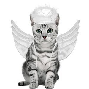 NEW Cat Halloween Costume Angel Wings & Halo Hat Accessories Soft Stretchy